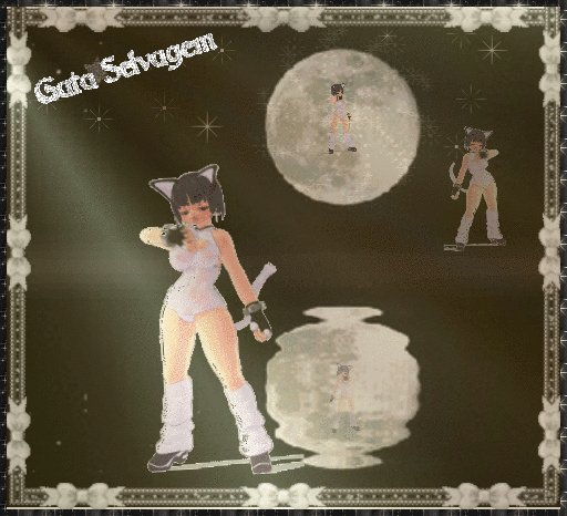 gata.gif
