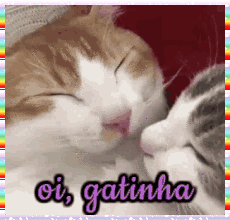 oi1.gif